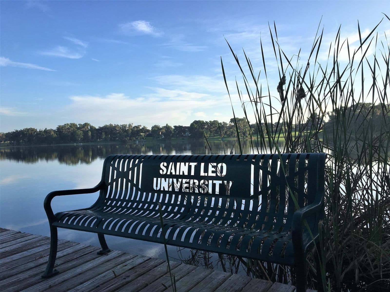 SAINT LEO UNIVERSITY — photo 6