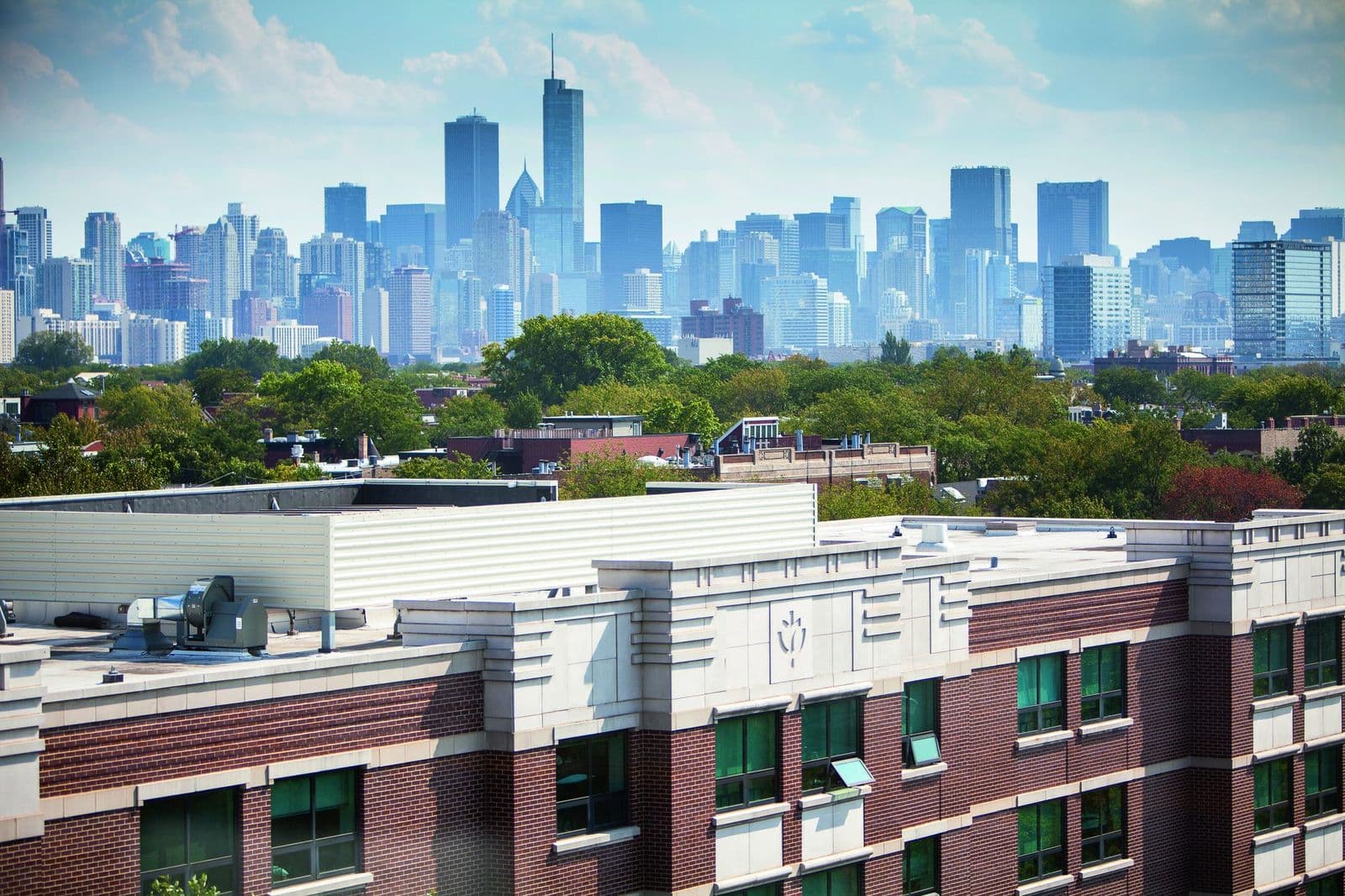 DEPAUL UNIVERSITY — photo 2