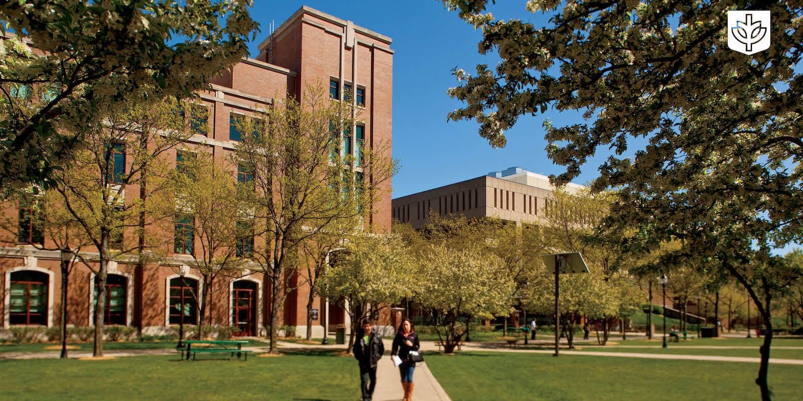 DEPAUL UNIVERSITY — photo 1