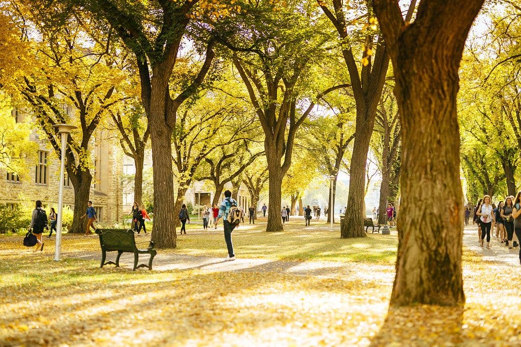 UNIVERSITY OF SASKATCHEWAN — photo 2
