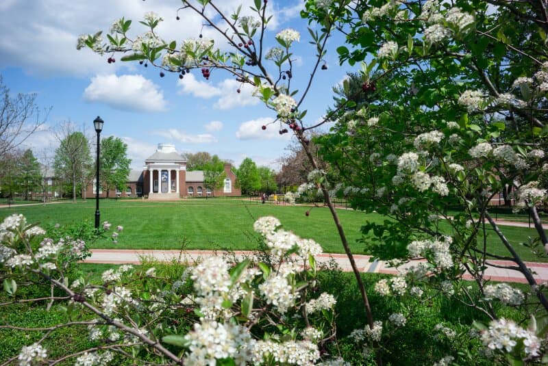 UNIVERSITY OF DELAWARE — photo 1