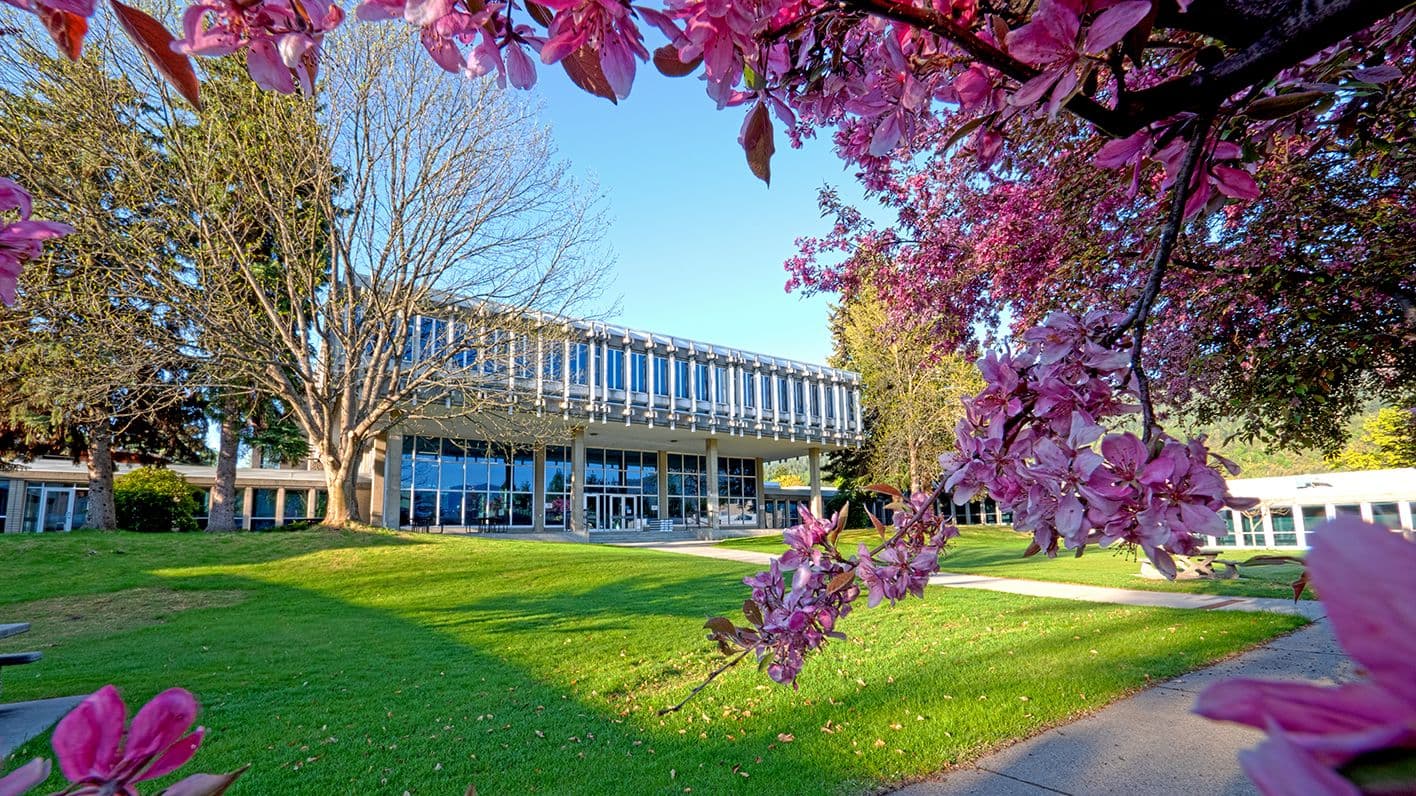 SELKIRK COLLEGE — photo 2
