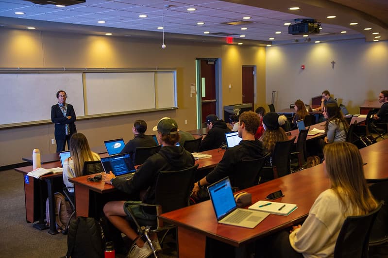 LEWIS UNIVERSITY — photo 7