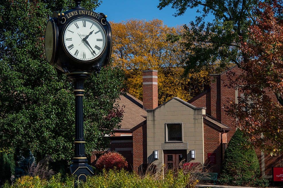 LEWIS UNIVERSITY — photo 2